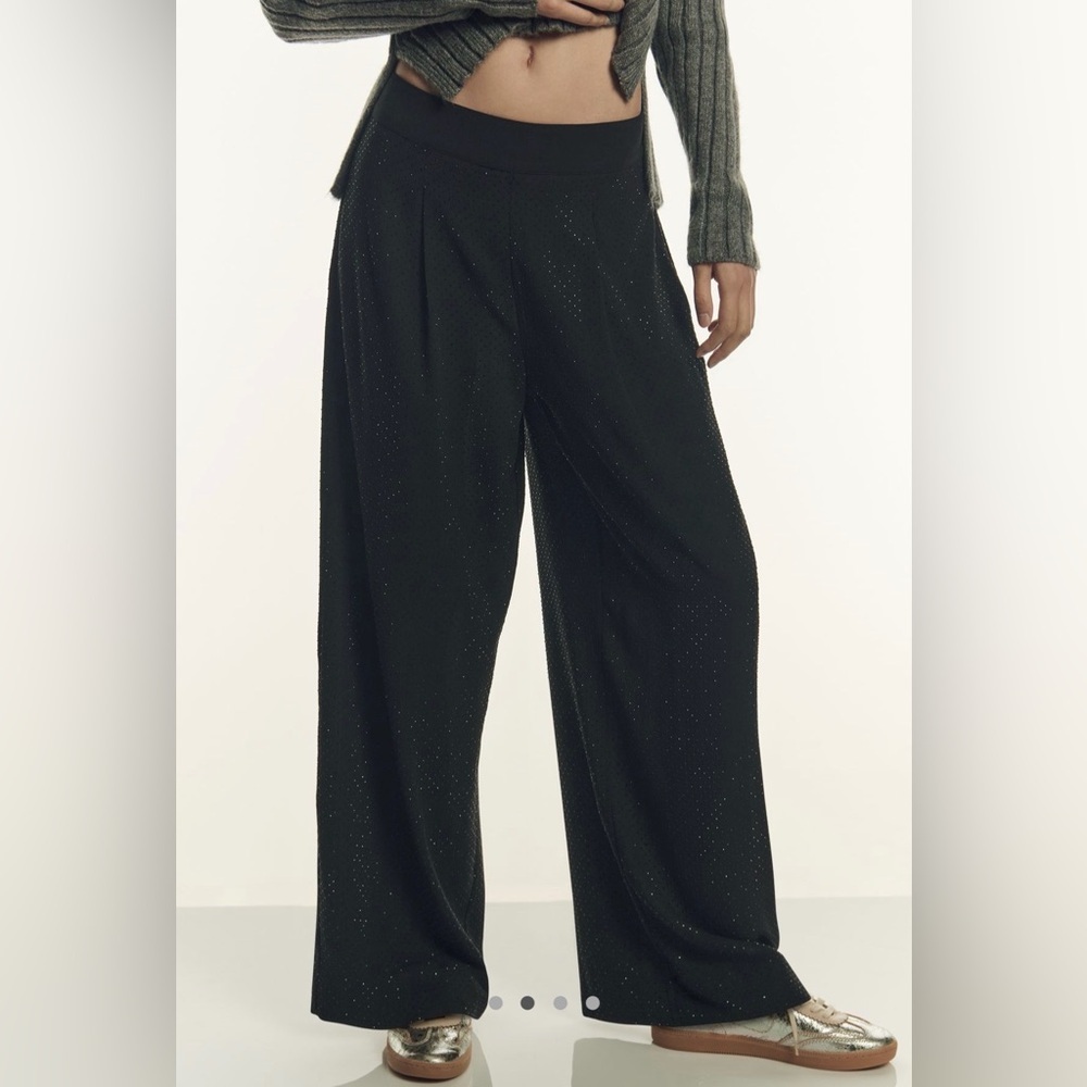 Ranna Gill Crystal Wide-Leg Pants, NWT - Picture 2 of 8